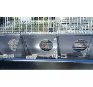 Клітка для кроликів маткова на замовлення Клітка для кроликів маткова на замовлення